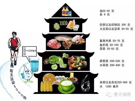 什么是营养？什么是营养素？两者有何区别呢？(图1)