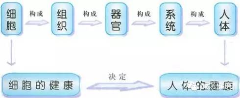什么是营养？什么是营养素？两者有何区别呢？(图2)